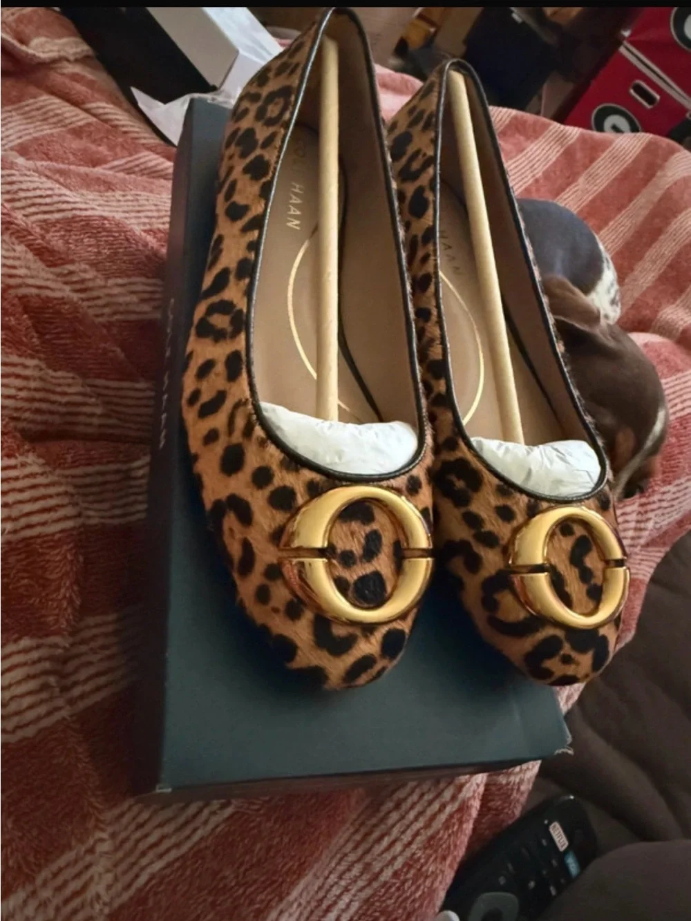 Cole Haan Leopard Print Ballet Flats with Gold Ring Accent